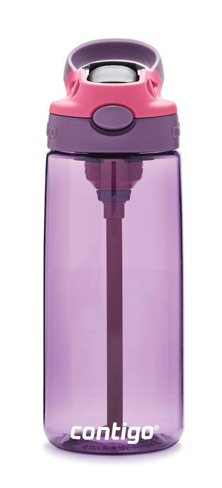 Contigo® Kids Cleanable AUTOSPOUT® Water Bottle, 20 oz - Eggplant & Punch