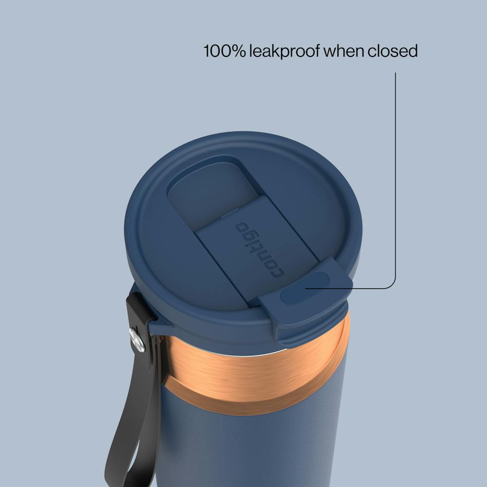 24oz DualSip Bottle - Abyss Bronze