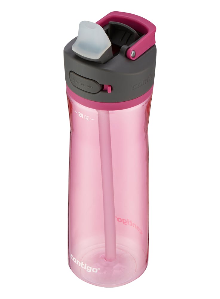 Contigo® Ashland 2.0 Water Bottle with AUTOSPOUT® Lid, 24oz - Dragon Fruit