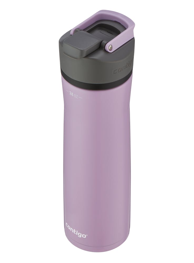 Contigo® Cortland Chill 2.0 Insulated Stainless Steel Water Bottle with AUTOSEAL® Lid, 24oz - Lavender
