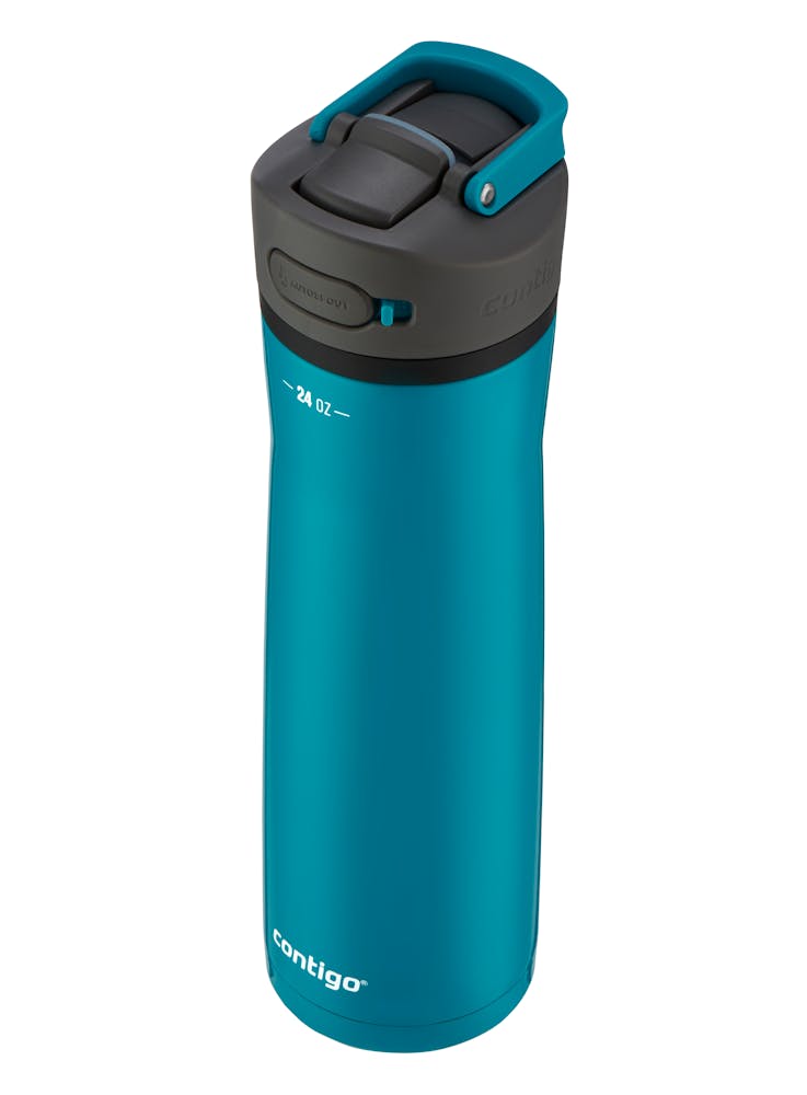 Contigo® Ashland Chill 2.0 Stainless Steel Water Bottle with AUTOSPOUT® Lid, 24oz - Juniper