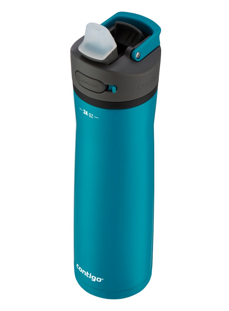 Contigo® Ashland Chill 2.0 Stainless Steel Water Bottle with AUTOSPOUT® Lid, 24oz - Juniper