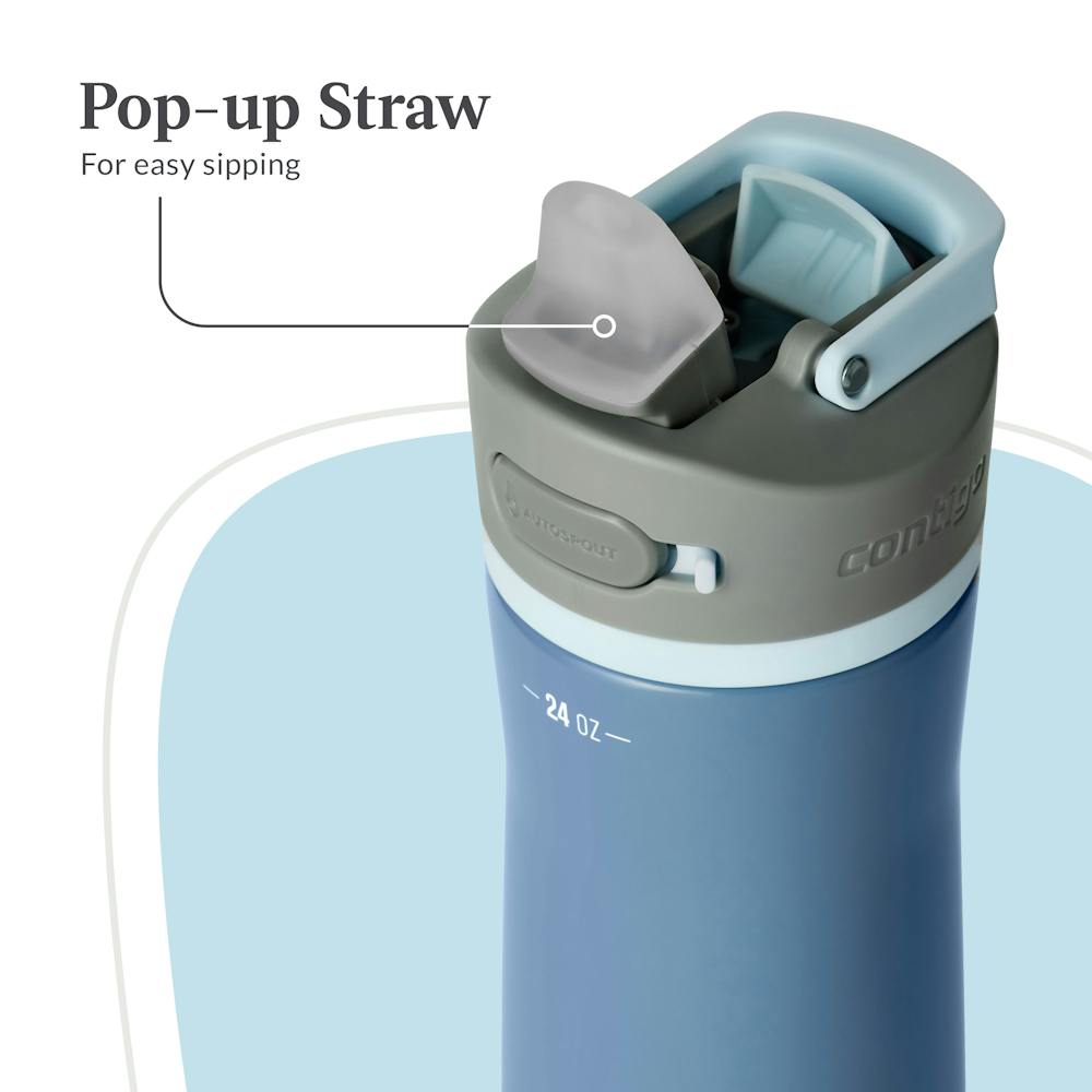Contigo® Wells Chill Stainless Steel Filter Water Bottle with AUTOSPOUT® Straw Lid and Replacement Filter, 24 Oz. - Dark Ice & Purity